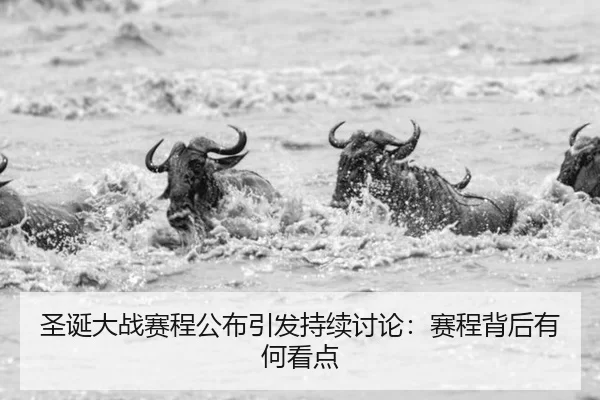 圣诞大战赛程公布引发持续讨论：赛程背后有何看点